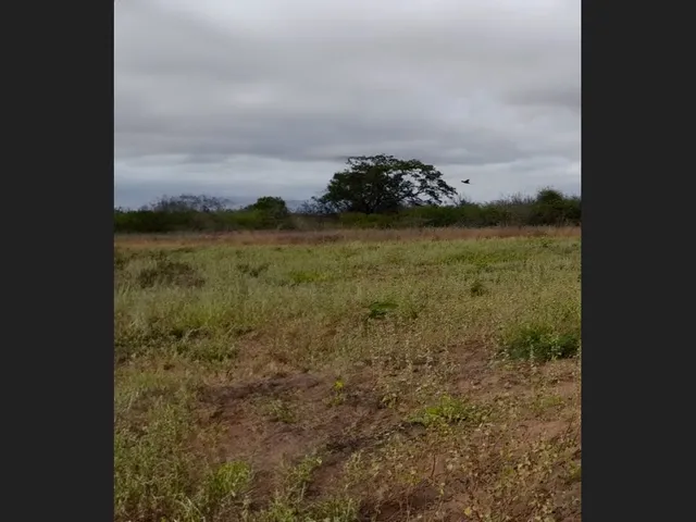 Imagem: Terreno Plano de 7.400 M² em Capim Grosso