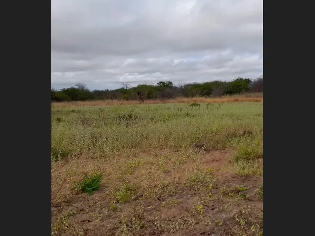 Imagem 2: Terreno Plano de 7.400 M² em Capim Grosso