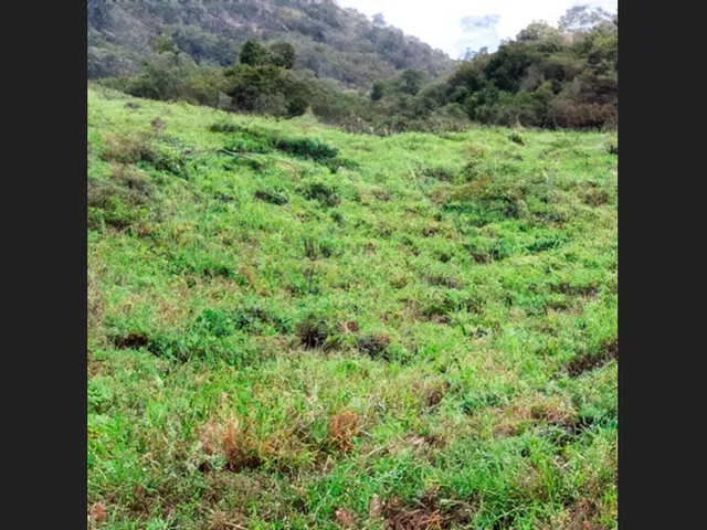 Imagem: Área de 8.400 M² Próxima Ao Centro de