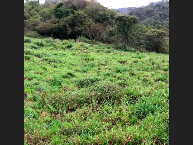 Imagem 2: Área de 8.400 M² Próxima Ao Centro de Capim Grosso