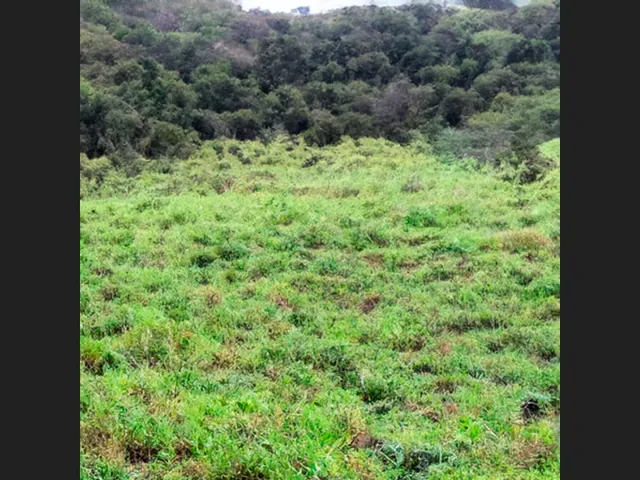 Imagem: Terreno de 15.600 M² em Capim Grosso, Cidade