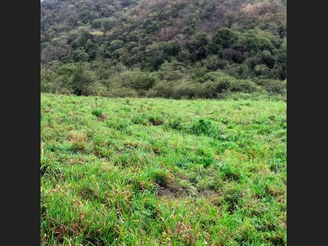 Imagem 2: Terreno de 15.600 M² em Capim Grosso, Cidade em Expansão