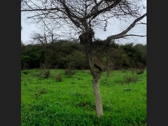 Imagem: Ótimo Terreno de 10.100 M² com Fácil