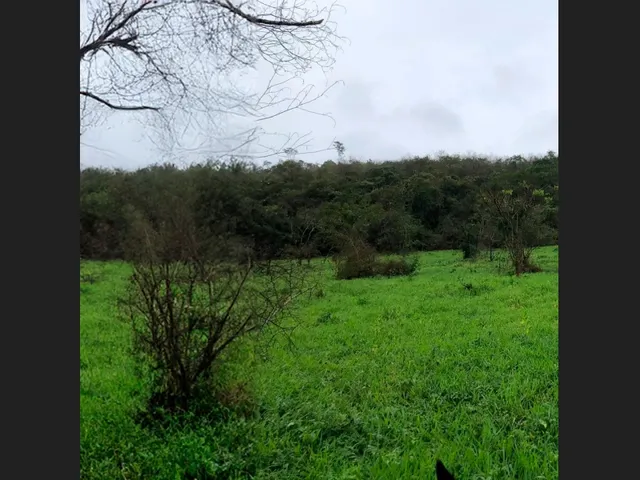 Imagem 2: Ótimo Terreno de 10.100 M² com Fácil Acesso Às Rodovias