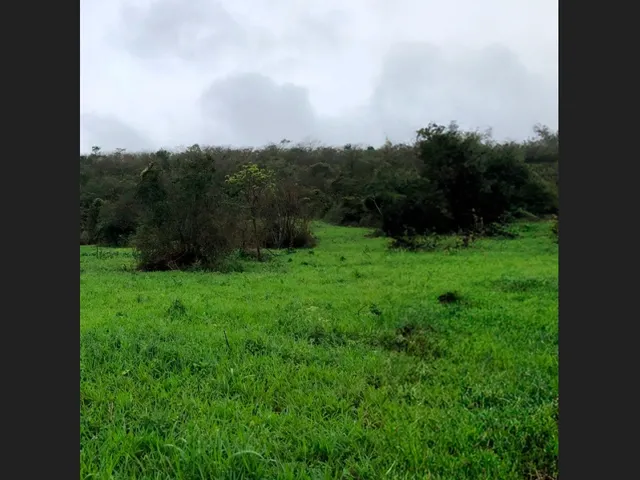 Imagem: Terreno de 5.900 M² para Investimento em