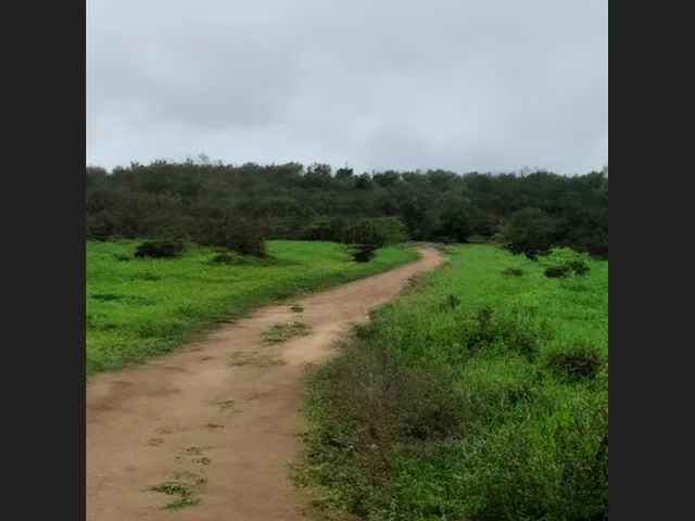 Imagem: Amplo Terreno de 19.500 M² na Rota de Crescimento