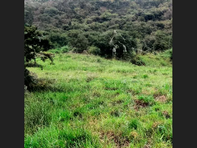 Imagem: Área de 9.400 M² em Capim Grosso, com
