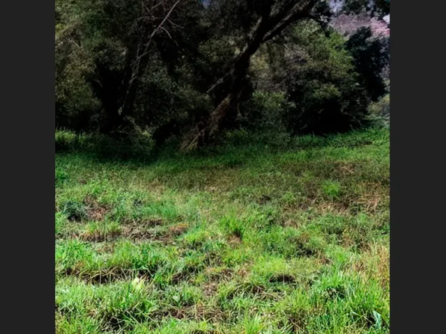 Imagem 2: Terreno Próximo À Natureza em Jacobina - 10.500 M²