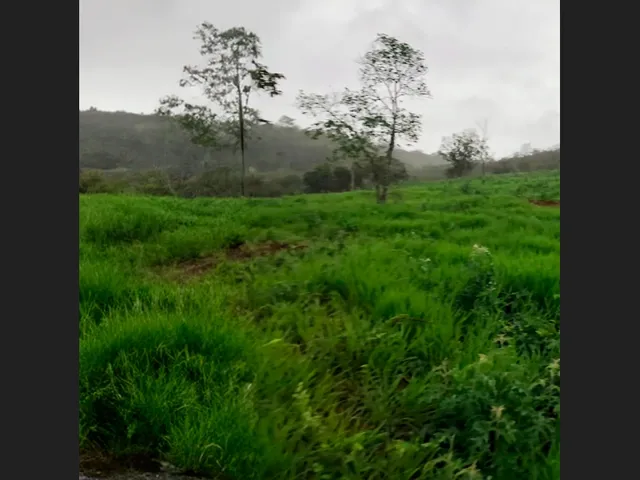 Imagem: O terreno possui 19.500m² de Área e está localizado em