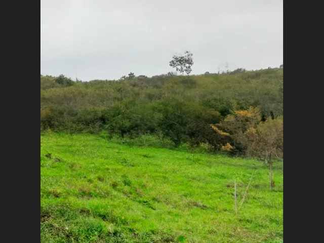 Imagem: Espaço Amplo em Capim Grosso - 7.500 M²