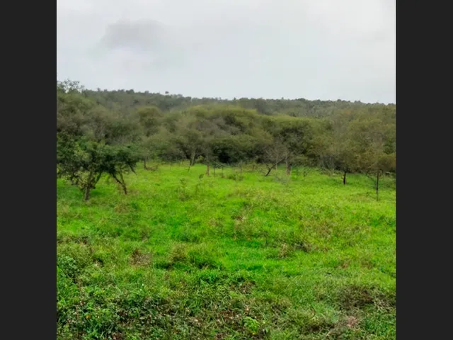 Imagem 2: Espaço Amplo em Capim Grosso - 7.500 M²