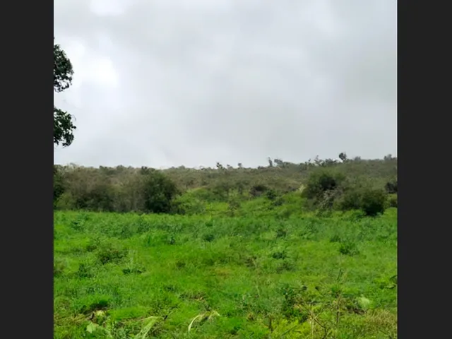 Imagem: Terreno em Senhor do Bonfim - 10.400 M²