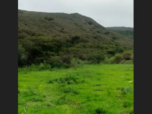 Imagem 3: Terreno em Senhor do Bonfim - 10.400 M²