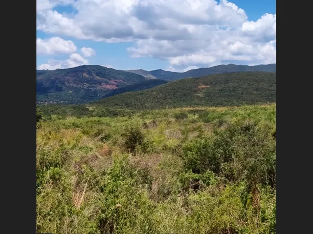 Imagem: Terreno para Investimento em Filadélfia