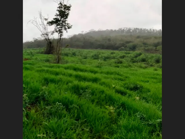 Imagem: Terreno para Empreendimentos em Filadélfia