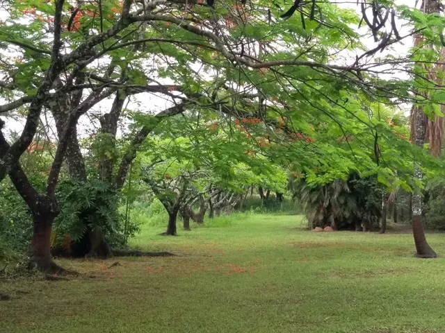 Imagem 9: Chácara 5000M2 Próximo Rio Piracicaba