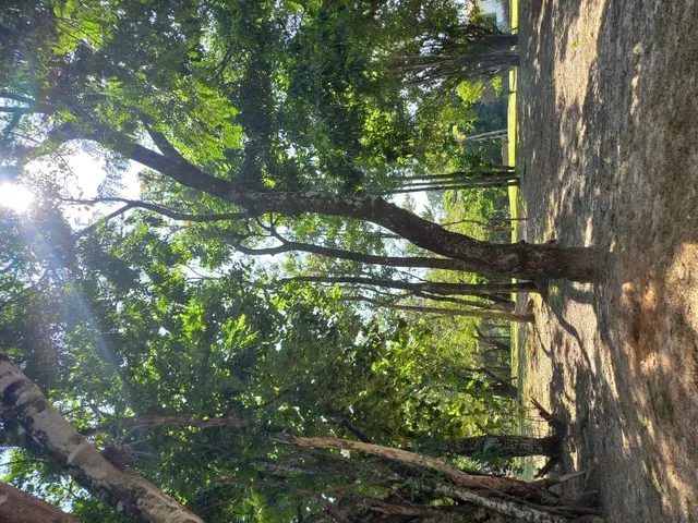 Imagem 2: Chácara 5000M2 Próximo Rio Piracicaba