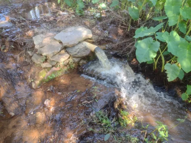 Imagem 4: Sítio de 3 Há em Carmópolis de Minas Mg