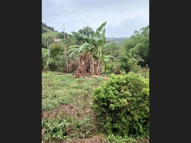 Imagem 2: Sítio de 3 Há em Carmópolis de Minas Mg
