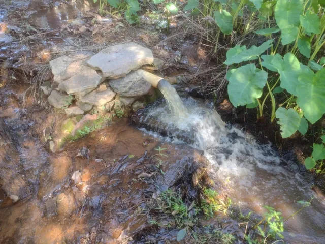 Imagem 3: Sítio de 3 Há em Carmópolis de Minas Mg