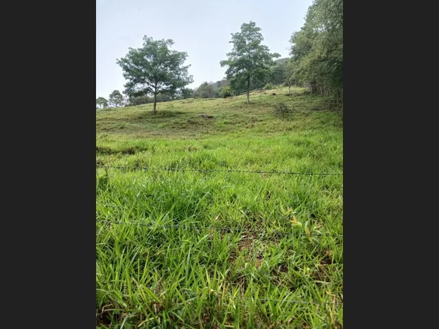 Imagem 9: Sítio de 3 Há em Carmópolis de Minas Mg