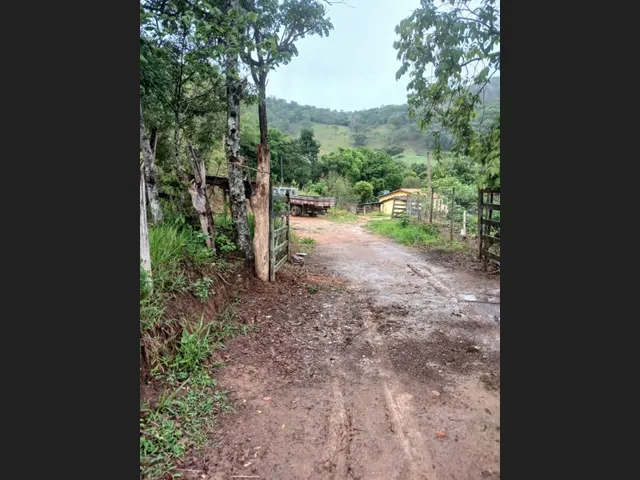 Imagem 6: Sítio de 3 Há em Carmópolis de Minas Mg