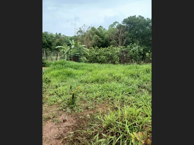 Imagem 7: Sítio de 3 Há em Carmópolis de Minas Mg