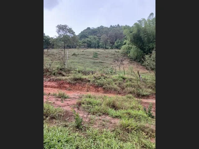 Imagem 13: Sítio de 3 Há em Carmópolis de Minas Mg