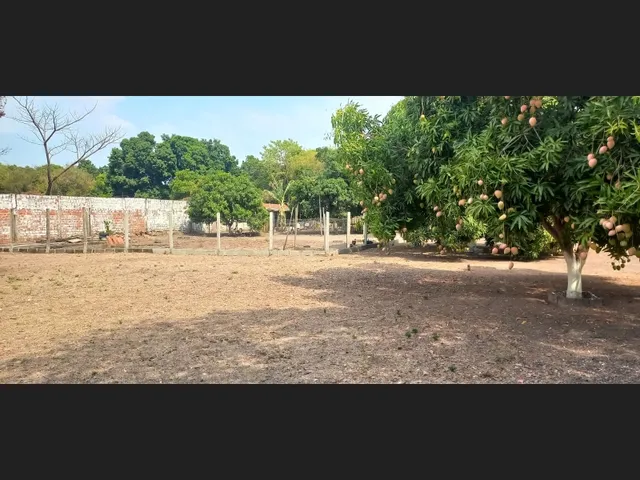 Imagem 9: Sitio 12.800 M2 Verde Cap