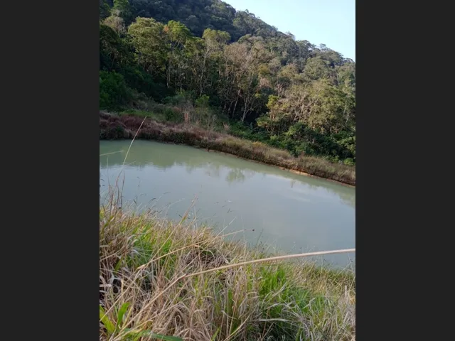 Imagem: Sitio a Venda em Piedade, com Lagos, Pomar