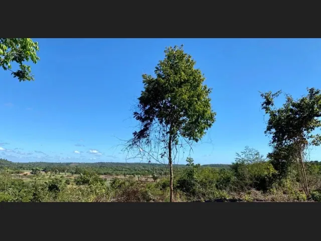 Imagem 2: Terreno de 3 Ha Perto do Aldebaram Leste