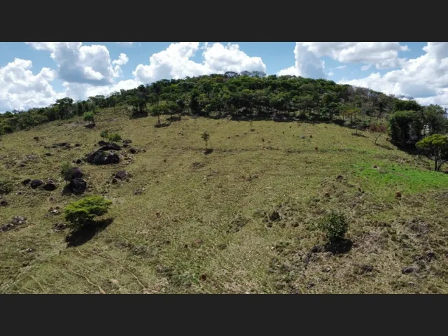 Imagem 2: Fazenda de 194 Há em Carmópolis de Minas Mg