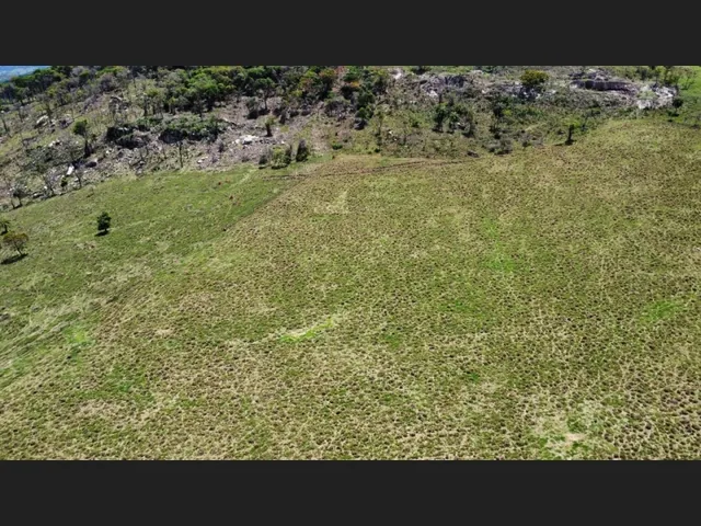 Imagem 10: Fazenda de 194 Há em Carmópolis de Minas Mg
