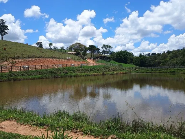 Imagem 8: Fazenda de 194 Há em Carmópolis de Minas Mg