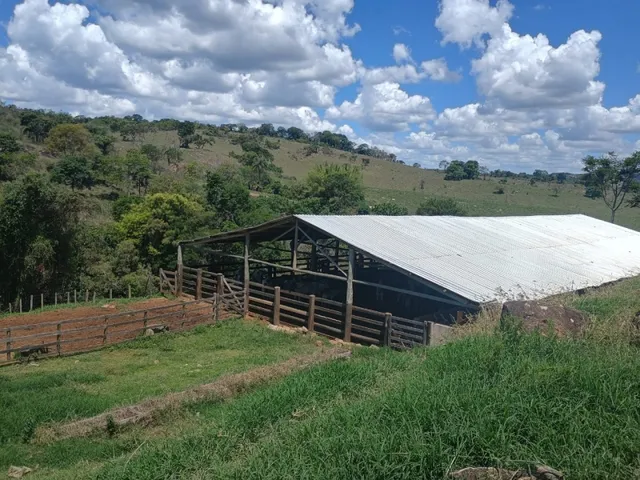 Imagem 3: Fazenda de 194 Há em Carmópolis de Minas Mg