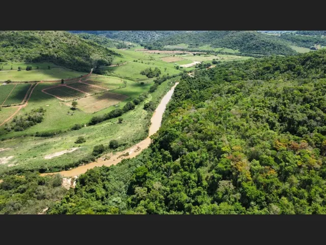 Imagem 6: Fazenda de 194 Há em Carmópolis de Minas Mg