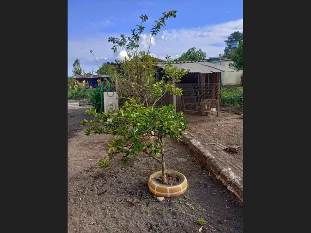 Imagem 6: Casa 2 Dormitórios em Nova santa Rita, Rs