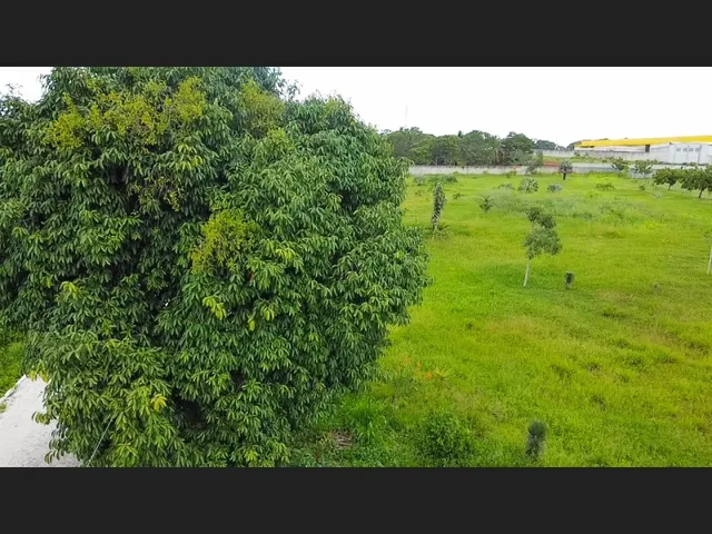 Imagem 10: Lotes no Eusébio em Área de Grande Crescimento