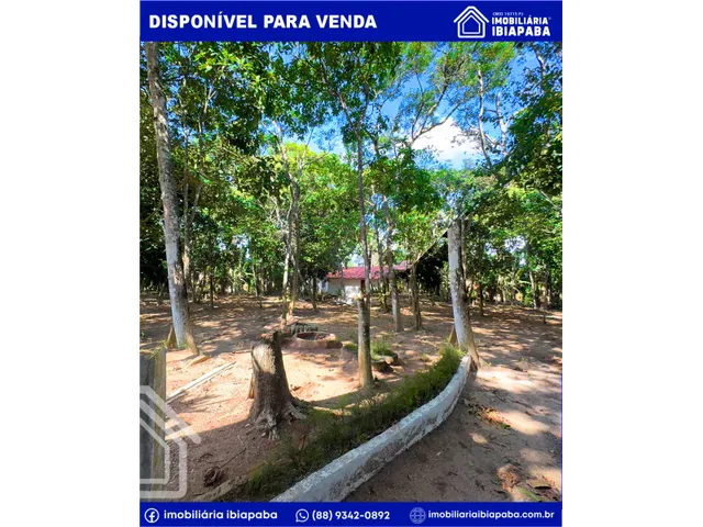 Imagem 12: Chácara para Venda, 3 Quarto(S), Zona Rural, São Benedito