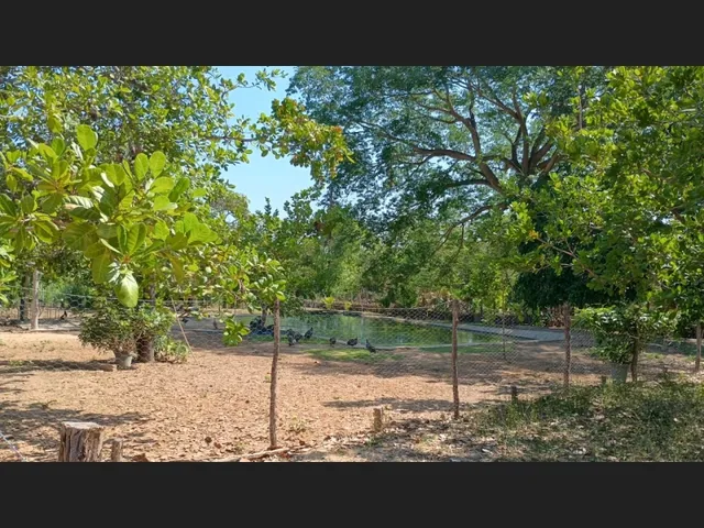 Imagem 11: Sitio na Cidade de Coivaras