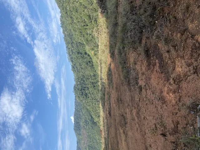 Imagem: Terreno Escriturado 6Km do Centro Domingos