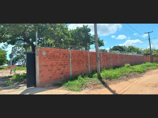 Imagem 13: Sitio na Comunidade Carnaúba de Pedra - Timon-Ma
