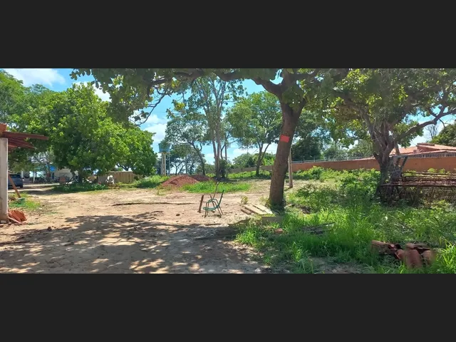 Imagem 5: Sitio na Comunidade Carnaúba de Pedra - Timon-Ma
