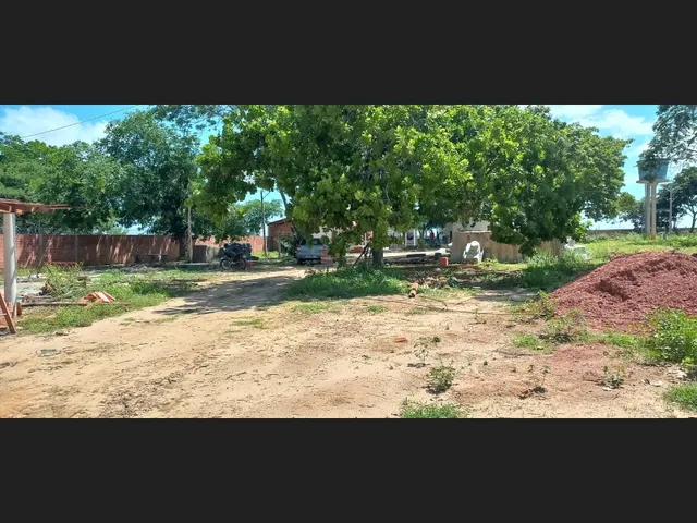 Imagem 7: Sitio na Comunidade Carnaúba de Pedra - Timon-Ma