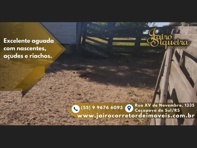 Imagem: Fazenda de Pecuária À Venda, Localizado