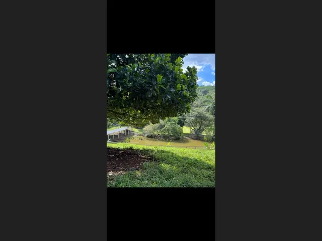 Imagem 3: Fazenda de 96 Há Região de Itaguara Mg