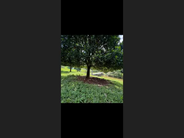 Imagem 14: Fazenda de 96 Há Região de Itaguara Mg