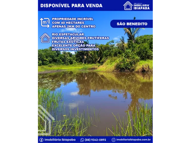 Imagem: Propriedade com 40 Hectares Disponível