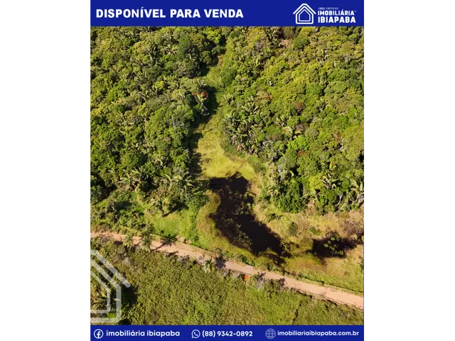 Imagem 6: Propriedade com 40 Hectares Disponível para Venda em São Benedito