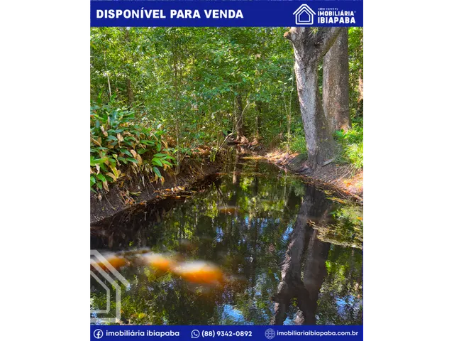 Imagem 8: Propriedade com 40 Hectares Disponível para Venda em São Benedito